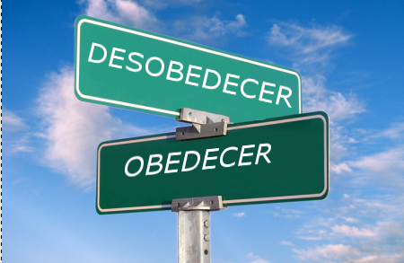 La indisciplina y la desobediencia como causa de despido