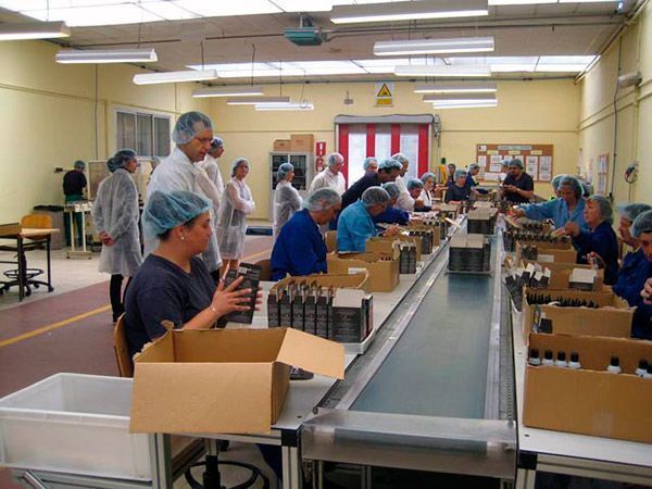 trabajadores de centro especial de trabajo